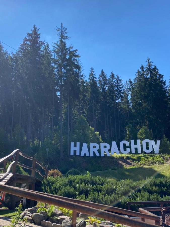 Apartman C. 19 Harrachov Bagian luar foto